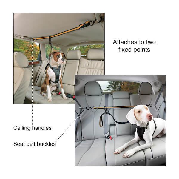 Kurgo Auto Zip Line & Leash Kurgo Auto Zip Line & Leash